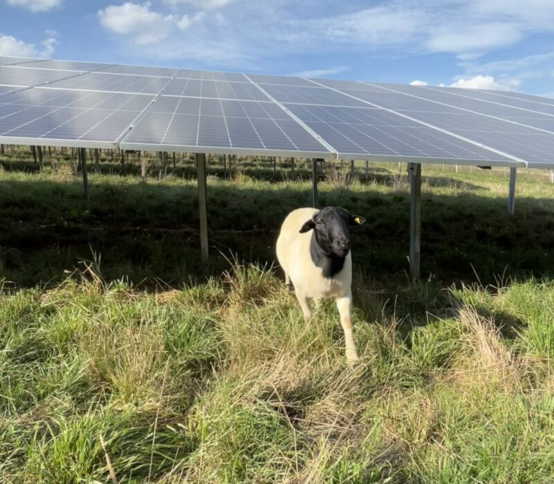 Solarpark Winterbach